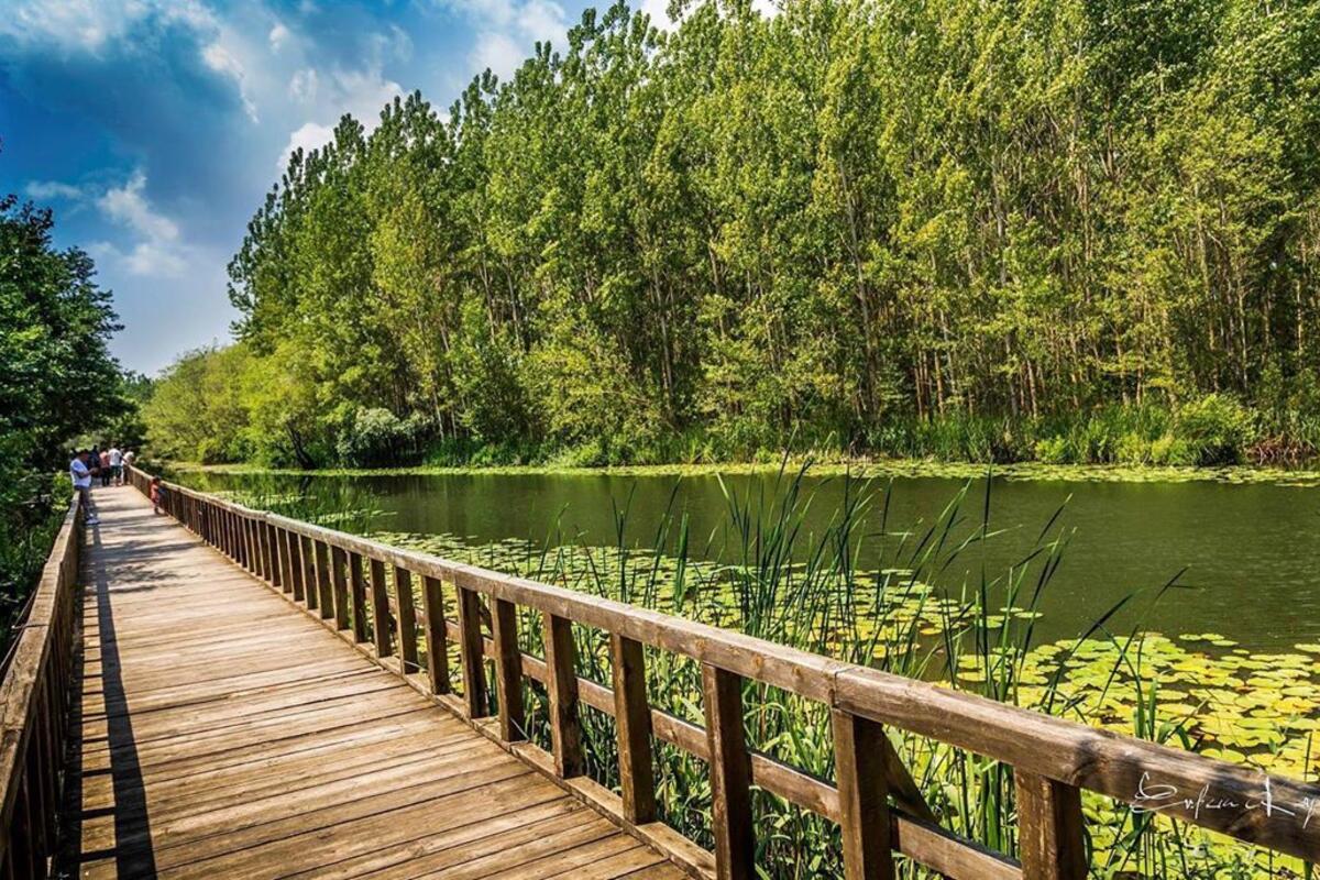 Acarlar Longozu Ormanı