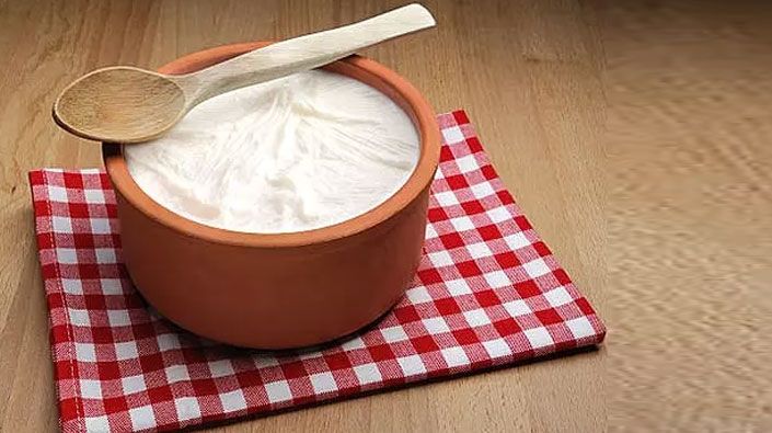 Kocaeli Yöresel Lezzet Kandıra Yoğurdu